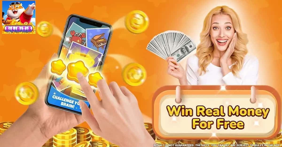 betsul bingo brasil cassino livre